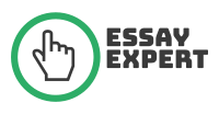 EssayExpert Logo